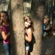 2012_arendsee_sa5_prot_039
