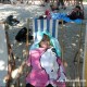 2012_arendsee_sa5_prot_061