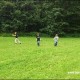 2012_arendsee_sa5_prot_075
