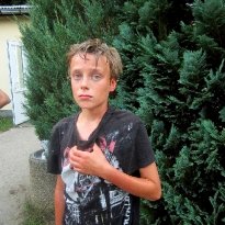 2013_prebelow_sp2_152_prot