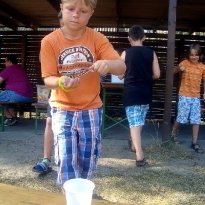 2013_arendsee_sa5_003_prot