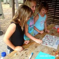 2013_arendsee_sa6_007_prot