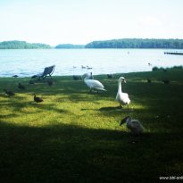 2014_dp1_039