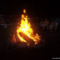 2014_dp1_243