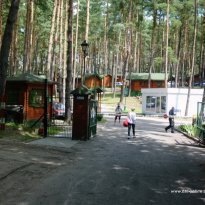 2014_dp1_261