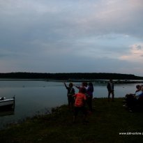 2014_dp1_310