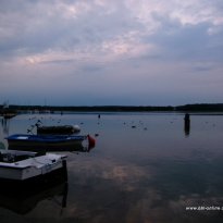 2014_dp1_311