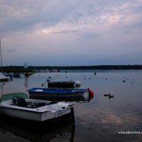 2014_dp1_312