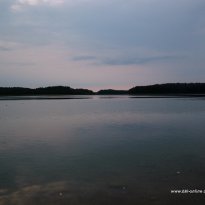 2014_dp1_313