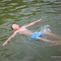 2014_dp1_328
