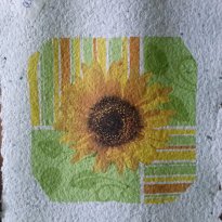 2014_grosswoltersdorf_zg2_229