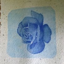2014_grosswoltersdorf_zg2_233