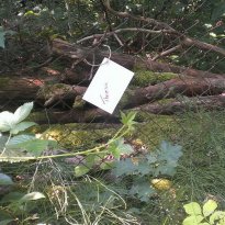 2014_grosswoltersdorf_zg2_387