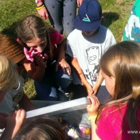 2014_grosswoltersdorf_zg2_406
