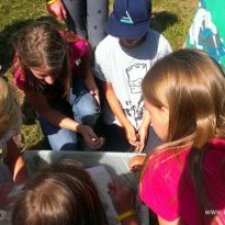 2014_grosswoltersdorf_zg2_408