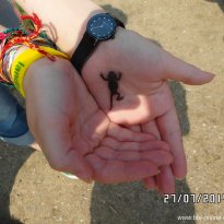 2014_grosswoltersdorf_zg3_072