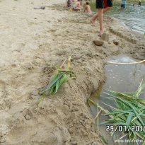 2014_grosswoltersdorf_zg3_288
