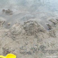 2014_grosswoltersdorf_zg3_291