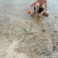 2014_grosswoltersdorf_zg3_293
