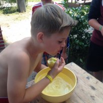 2014_arendsee_sa4_103