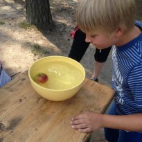 2014_arendsee_sa4_104