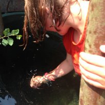 2014_arendsee_sa4_110