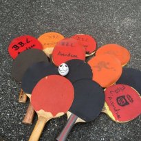 2016_arendsee_sa5_023_prot