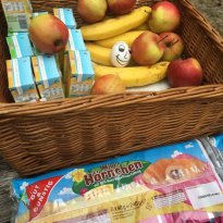 2016_arendsee_sa5_026_prot