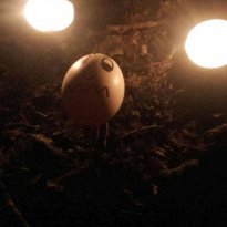 2016_arendsee_sa5_031_prot