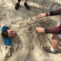 2016_arendsee_sa5_035_prot