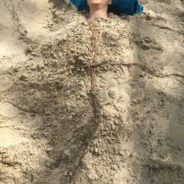 2016_arendsee_sa5_036_prot