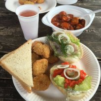 2016_arendsee_sa5_074_prot